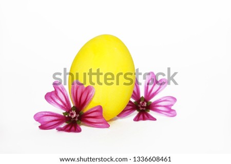 decorative yellow egg on green leaves for holiday of holy Easter