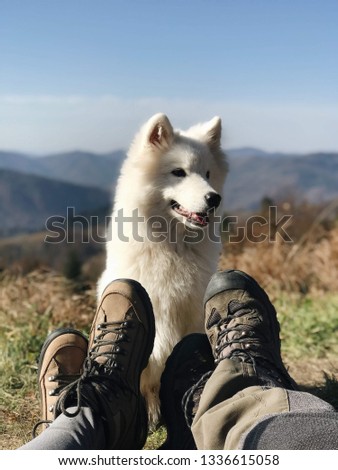 a happy samoyed dog with a girl
