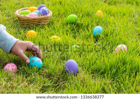 Happy Easter Day. Easter eggs concept. The colorful of Easter eggs in nest on grass green background.