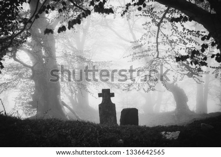Spooky grave in a foggy forest. Halloween / scary concept.