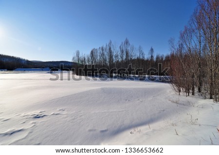 Lapri river in winter. Amur region. Russia.