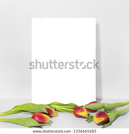 Blank canvas with tulips on gray background. Mockup poster frame.