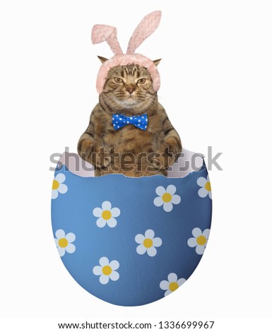 The funny cat in easter bunny ears and a bow tie is in the big blue egg. White background.