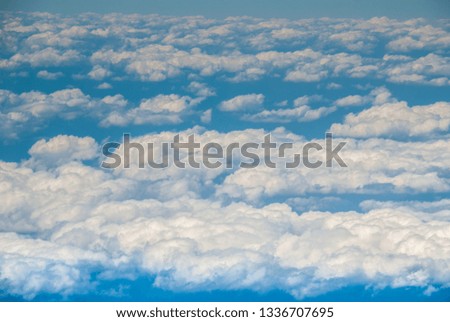 Beautiful trees with a sky background, suitable for background images