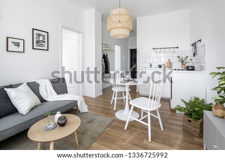 Contemporary studio apartment with kitchen open to living room Royalty-Free Stock Photo #1336725992