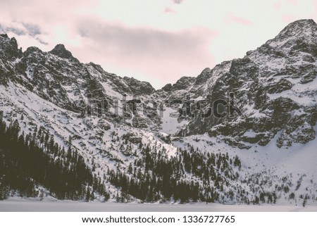 Mountains winter landscape. Tatra mountains in Poland retro vintage tones.