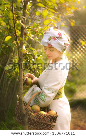 A young girl in the summer garden gathers apples and pears. Sunshine picture. Girl in national clothes. Countryside, apple orchard near the house. To advertise juices, juice extractors, apple purees