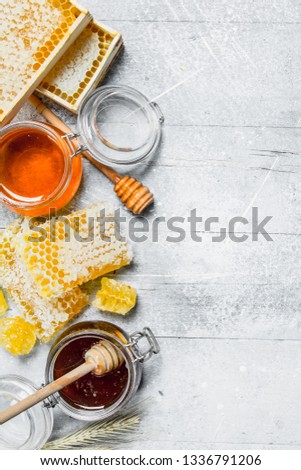 Different types of honey. On a rustic background.