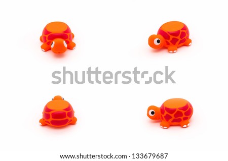 Turtle set (4 in 1)