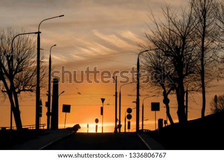 road, transport, road signs in the city with a bewitching sunset