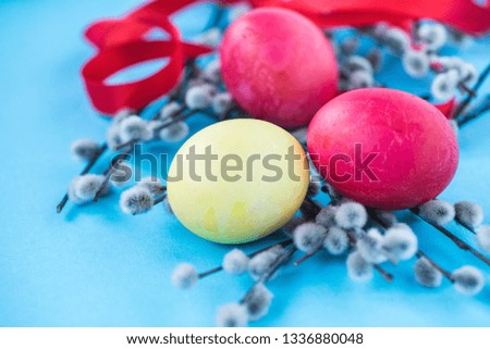 Three Easter colored eggs lay on the branches of a willow on a blue background. Holiday Religious holiday