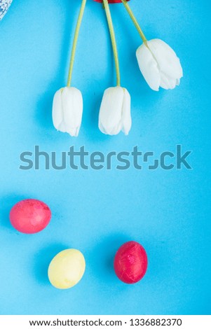 On a blue background Easter composition. White three tulips with colorful Easter eggs. Religious holiday