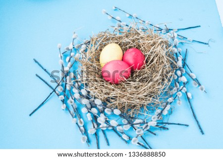 Easter composition on a blue background with willow branches and nests with colorful Easter eggs. View from above