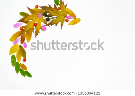 Creative corner frame of autumn rowan, yellow and green autumn leaves on a gray background with copy space. Autumn layout for your ideas. Flat lay