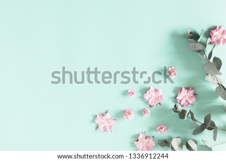 Flowers composition creative. Pink flowers, eucalyptus branches on pastel mint background.  Flat lay, top view, copy space 
