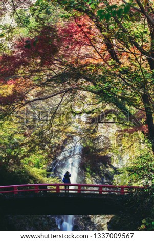 Minoh waterfall in autumn season, Osaka Japan
