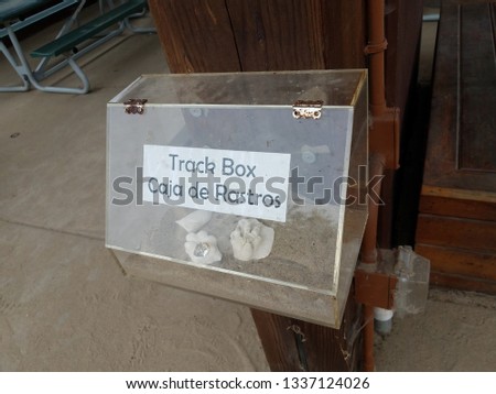 plastic box with plaster cast footprints and sand on wall with label saying track box in English and Spanish