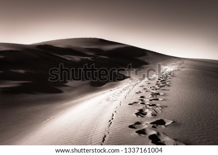 Footprints and ripples in a desert sand dune. There are leading lines. The photo is in black and white. 