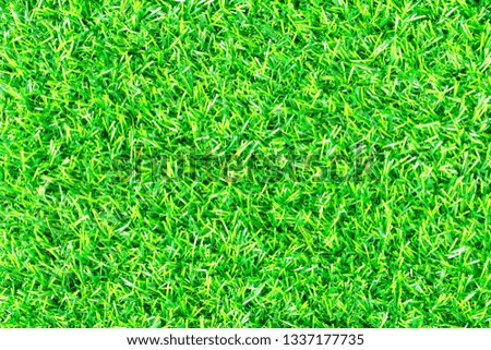 Green grass background texture. 
 