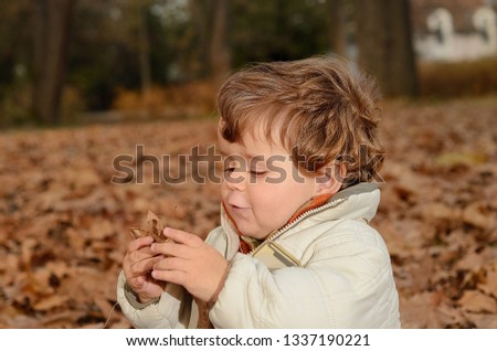 A Kid in the park