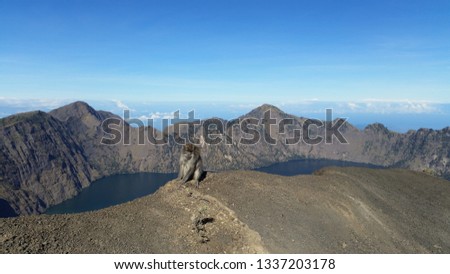 mount rinjani lombok indonesia with monkey