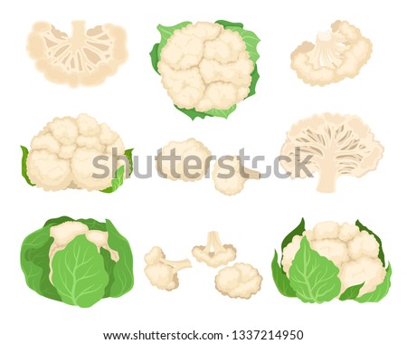 Cauliflower set. Organic food concept. Vector illustration. Royalty-Free Stock Photo #1337214950