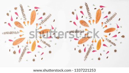 Autumn background composition made of falling autumn leaves and petal on white background with space for your ideas texts. top view.