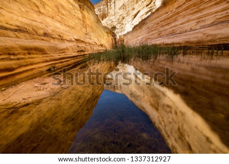 landscape view of streming water in the deseret canyon of Ein Ovdat nature reserve in the desere, Israel.