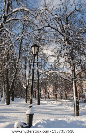Lantern in the snowy park
