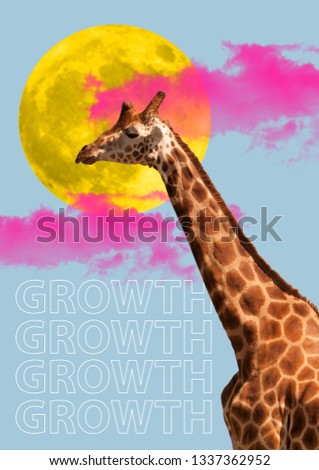Giraffe head. Concept of growth, start up, business concepts. Success, achievement, progress career concept. Contemporary modern art collage