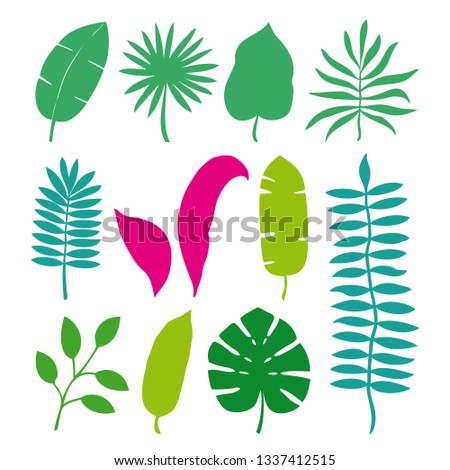 Set of tropical leaves palms, trees. Vector illustration isolated on white background.