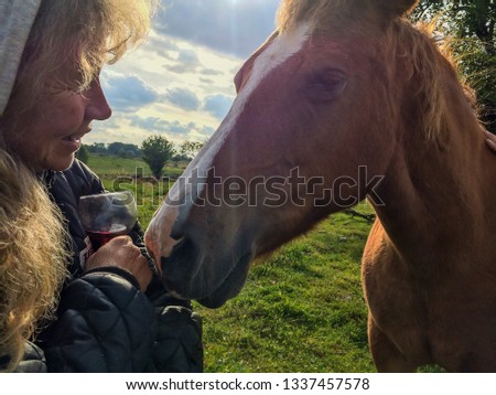 Smiling Older Woman With Glass of Wine Next to a Brown Horse Who Wants A Sip of Her Wine In The Summer Evening By The Green Horse Field In The Pretty Sunlight in South Sweden Makes a Funny Picture