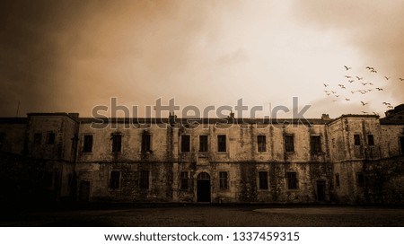 free birds in the old prison Royalty-Free Stock Photo #1337459315
