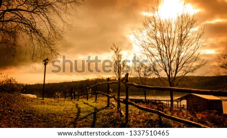 road and leafs at the edge of the lake in autumn Royalty-Free Stock Photo #1337510465