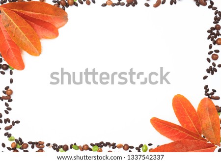 Background composition made of seeds and orange leaves on white background with space for your ideas texts. top view. Autumn concept.