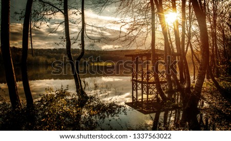 canopy inside the lake in the forest Royalty-Free Stock Photo #1337563022