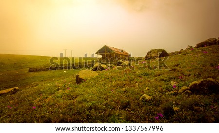 in the fog village house Royalty-Free Stock Photo #1337567996