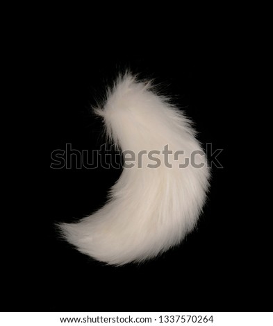 White Fox Tail on black background