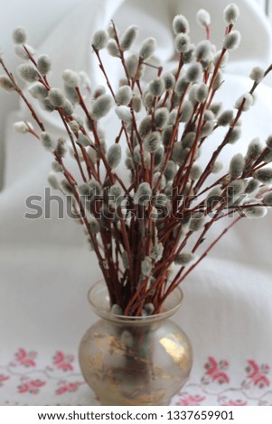 a bouquet of willow branches, picture