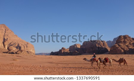 Dessert Background with camel Royalty-Free Stock Photo #1337690591