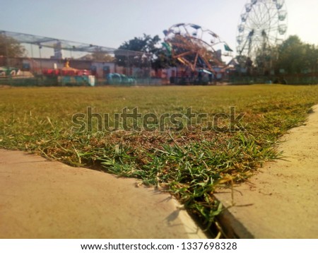 Pitch grass picture 