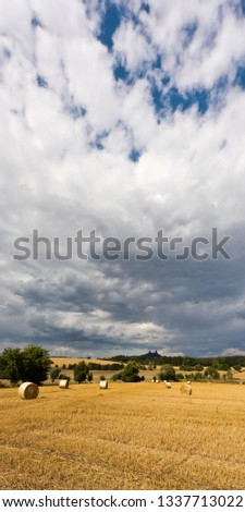 The landscape with straw bales in a field and Trosky Castle in summer, Czech Republic