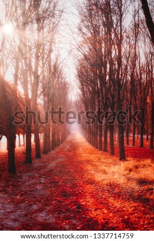 Picture of a park near Paris during fall with red leaves
