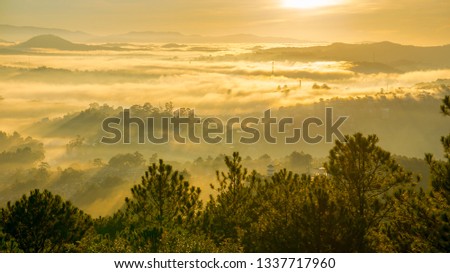 nice landscape of Da lat city, the sunrise on the fog city, the mist of city, view from top of moutain. The sun, the fog, rays through the houses and the pines 