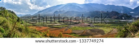 Panoramic picture of rice paddies near Sapa, Vietnam.