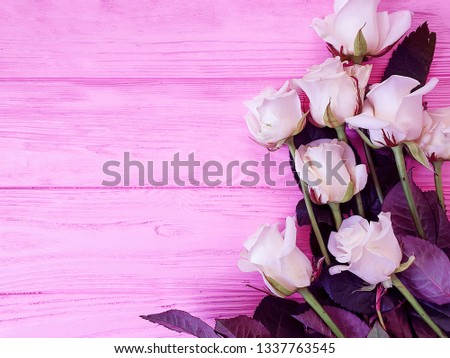 white rose bouquet on pink wooden background