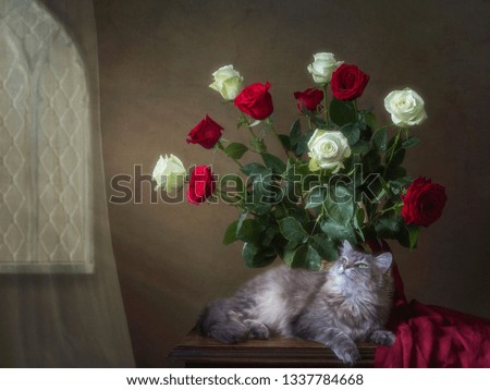 Adorable gray kitty under the bouquet of roses