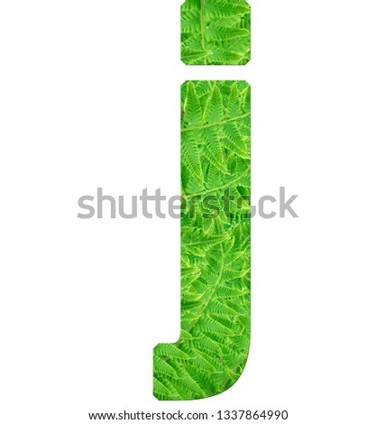 letter j with texture of fern leaves, font Helvetica Word, bold