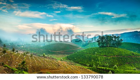 Landscape of the tea plantations in India, Kerala Munnar. Royalty-Free Stock Photo #133790078