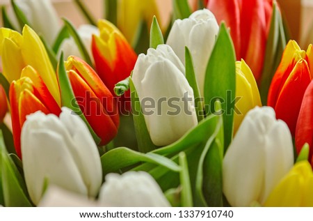 a bunch of white, red and yellow tulips